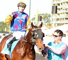 Cifrado ... the Rex Lipp trained winner of the 2023 Sires Produce Stakes

Photos; Graham Potter and Darren Winningham