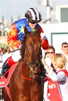 A very happy Craig Williams brings Bella Nipotina back to scale after their win in the Doomben 10 000 ... 