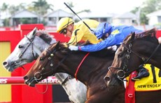 It doesn;t matter how much you win by ... Shinn gets Bois D'argent home by the narrowest of margins in the Group 1 Doomben Cup (above) ...and guides Warmonger to that astonding victory in the Group 1 Queensland Derby (below)