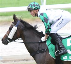 Tokyo Sins - fourth of four stable winners on June 15