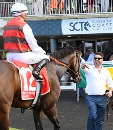 Coming back to scale after that AJC Cup win 