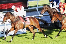 Winning the Eye Liner

Photos Darren Winningham and Graham Potter