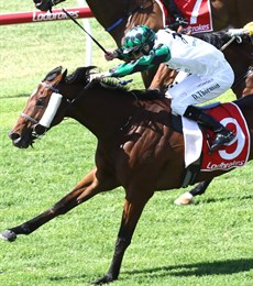 Skater (above) and Island Tide (below) landed a race to race double for the stable at Toowoomba on September 7 