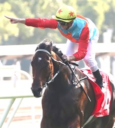 Ka Ying Rising ... Purton rides him in the Hong Kong Sprint