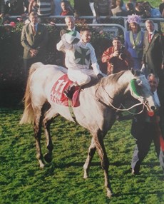 He has been right at the very top of the tree ... Michael Cahill brings his Stradbroke winner St Basil back to scale