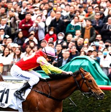 My Wish

Photo: Hong Kong Jockey Club