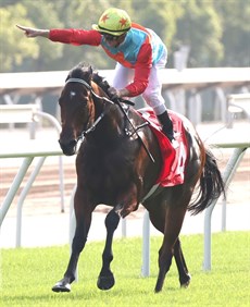 The David Hayes trained superstar Ka Ying Rising should just win the Group 1 Chairmans Sprint Prize