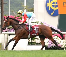 The Group 1 winners
Ka Ying Rising