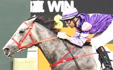 ... and Everyone's Star

Photos: Darren Winningham