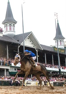 Photos: Godolphin Facebook