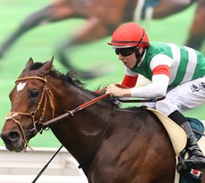 Lane guides Tastiera to victory in the Group 1 FWD QEII Cup at Sha Tin . A week he was a  Group 1 winner again, this time in Japan when taking out the Tenno Sho (Spring) aboard Redentor at Kyoto

Photos: Darren Winningham
