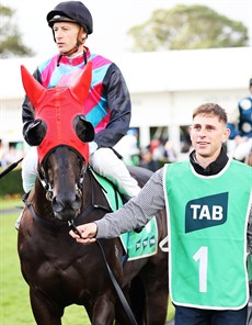 Antino with Blake Shinn and Baylee Nothdurft ... a home town Group 1 would be just what the doctor ordered

Photos: Darren Winningham,/b>