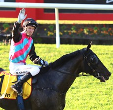 An emotional Blake Shinn brings Antino back to scale
