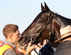 ... and a kiss

Photos: Darren Winningham and Graham Potter