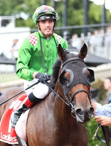Cool Archie ... will attempt to land his fourth win in a row in the Sires Produce