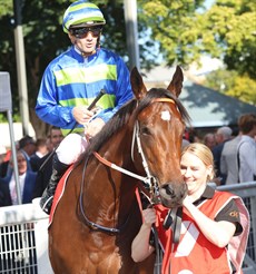 Gallo Nero is the current favourite in the Sires

Photos: Darren Winningham and Graham Potter