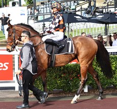 Warnie ... my best bet ... see race 8