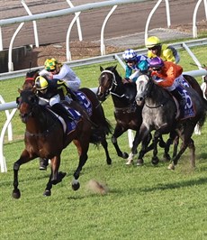 El Morzillo (orange colours) chases Floozie home gamely in the Group 2 Dane Ripper last time after having to be used up early from the widest barrier draw.