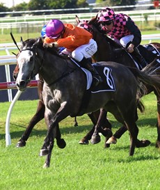 She came home a winner at Doomben (pictured above) two runs before the Dane Ripper