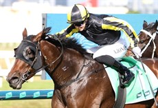 Floozie winning the Silk Stocking at the Gold Coast

Photos: Darren Winningham
