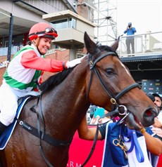 Graham brings Kintyre back to scale after their win in the Group 2 Queensland Guineas

Photos: Graham Potter