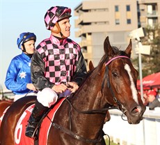 Tim Clark brings Rothfire back to scale after  a thrilling, latest edition of gthe Doomben 10 000 ...