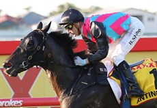 Too easy

Photos: Darren Winningham