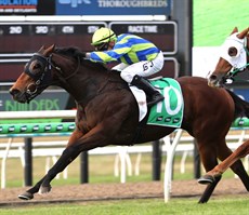 Tarrant pushes Fortunate Kiss out t the line to claim victory

Photos: Darren Winningham
