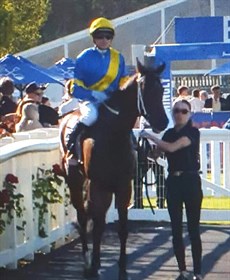 Hot And High

Photo: Racing WA